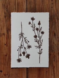 Image 1 of Matricaria • Linocut paper print