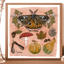 Image 3 of Season prints