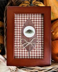 Little Hedgie Original