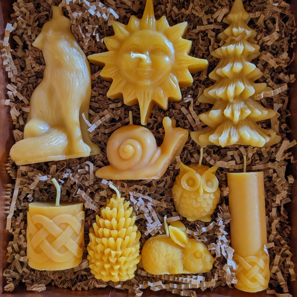 Image of Friends of the Forest Box Set (Natural Yellow)