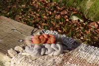 Image 5 of Hedgerow Spindle tutorial video 