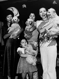 Image 16 of Issei Suda "Waga Tokyo 100"