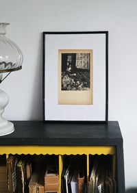 Image 2 of WINTER FLOWERING PLANTS FOR OUTDOOR BORDERS (UNIQUE)