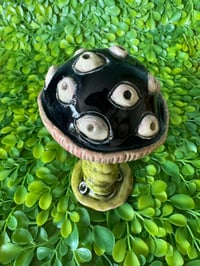 Image 3 of Black Mushroom with Eyes and dangling dew
