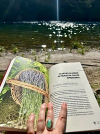 Image 3 of ALQUIMIA EMOCIONAL LIBRO 