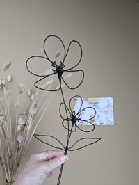 Image 1 of Duo de marguerites