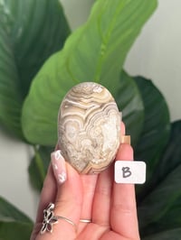 Image 4 of MEXICAN LACE AGATE PALM STONES
