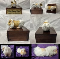 Image 6 of Custom Engraved Guinea Pig Urn Custom HandPainted To Your Photos
