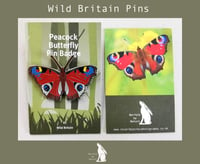 Peacock Butterfly - #7 - Wild Britain Series