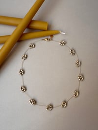 Image 2 of Flor Mínima. Campo