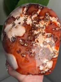Image 4 of XXL MOSSY CARNELIAN FREEFORM -MADAGASCAR- 