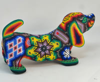 Image 3 of Wiener dog 