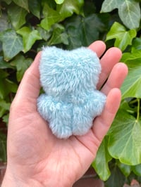 Image 2 of Flaff the Mini Fluffy Frog