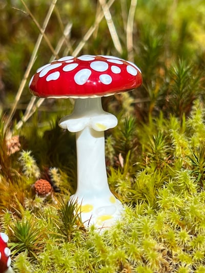 Image of Amanita Mushroom Plant Spike