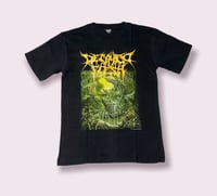 Image 2 of Decayed Flesh