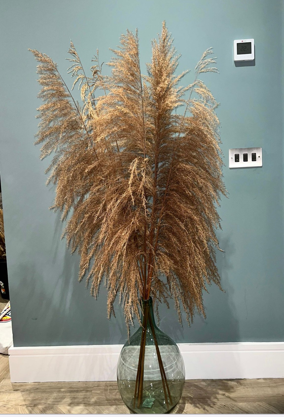 Image of Super tall pampas in extra large glass bottle vase