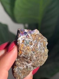 Image 2 of NATURAL IRIDESCENT CHALCOPYRITE- MOROCCO- C