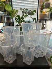 Image of Thick Plastic Transparent Breathable Plant Pot Set (7)