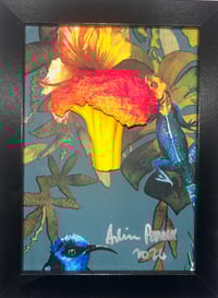 Birds of paradise broccoli 