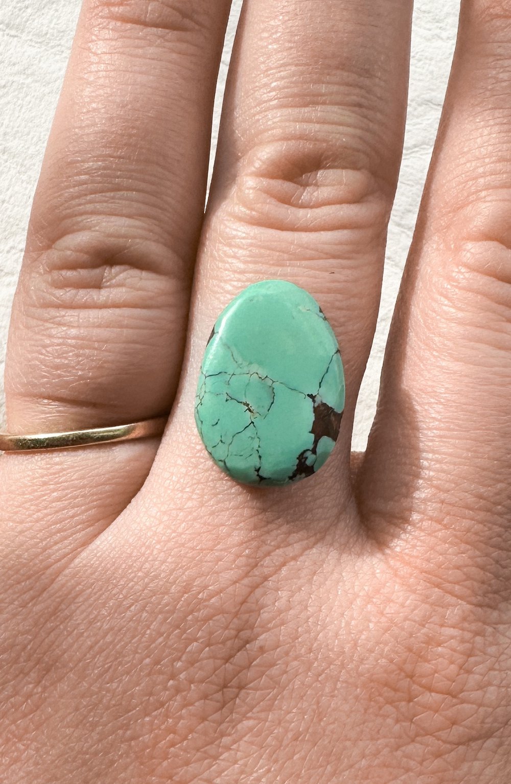 Image of Brown Pin Turquoise 