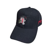 Image 1 of RCB HAT 2