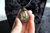 Image 5 of dead good fish head and paua shell necklace