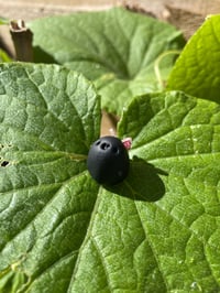 Image 7 of Worry Beans: Flutter-byes
