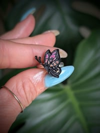 Image 1 of Brandis Butterfly 