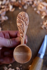 Image 10 of Oak Tree~ Coffee Scoop