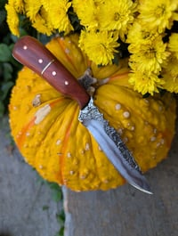 Image 1 of REDHEART FIGHTER HYBRID