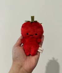 Tiny Tomato