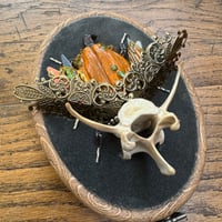 Image 3 of Vertebrae pumpkin beetle (b,  4x5 inches)