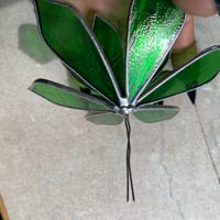 Image 6 of Wire Base Succulents