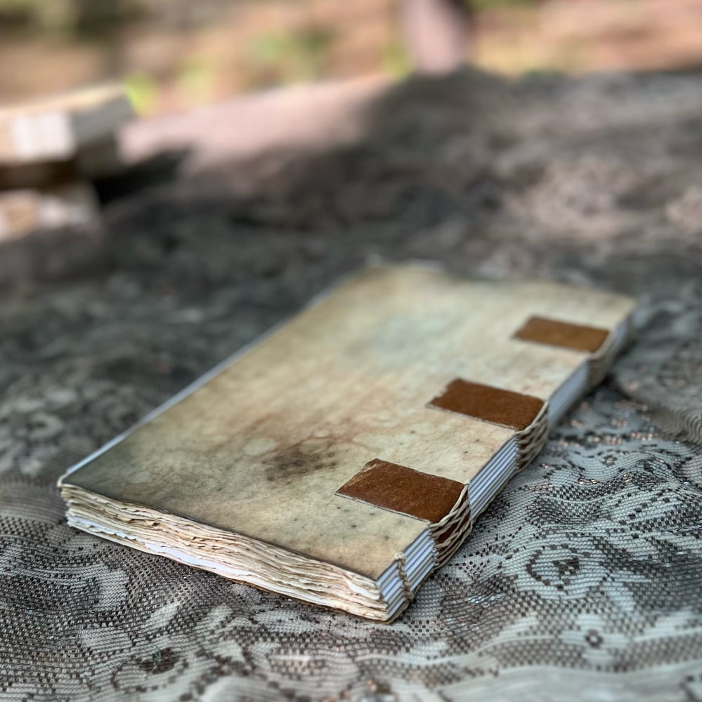 lie-flat commonplace book : mushroom