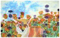 Image 2 of "Fox, Poppies, Chia" by Zasha Welsh