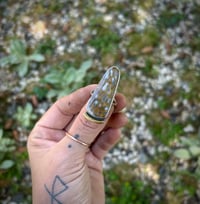 Image 2 of Fossilized palm ring 
