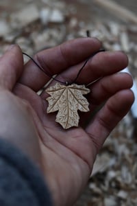 Image 1 of Maple Leaf.