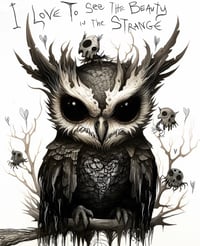 Strange Owl 