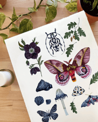 Image 6 of Sagittarius Nature Chart PRINT