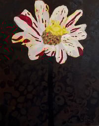 variegated 