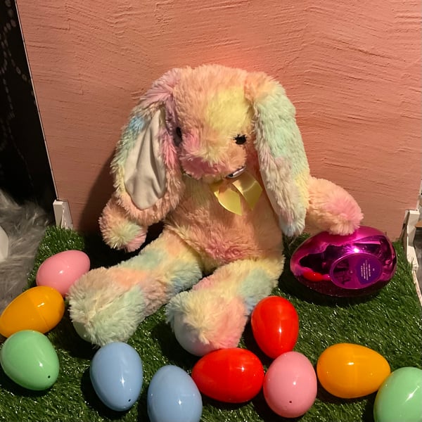 Image of Rainbow Bunny