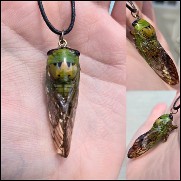 Image of Cicada Necklace