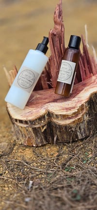 Image 4 of Sensitive Skin No Scent Shampoo 8 oz