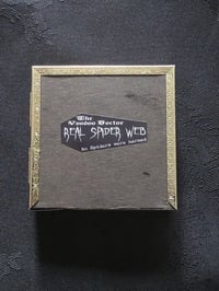 Image 5 of ANTIQUE ANATOMICAL ANIMAL COLLECTION - & Preserved web 4