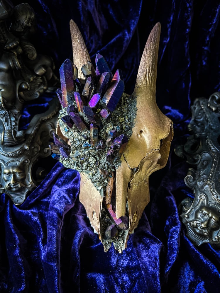 Image of Purple/ Gold Titanium Quartz - Goat Skull