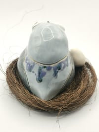 Image 4 of Pigeon 3
