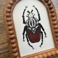 Image 1 of Water colour beetle (a, 4x6 inches)
