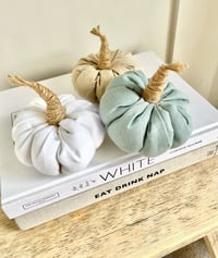 Image 1 of Mini Winnie Fabric Pumpkin 