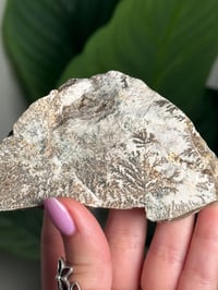 Image 2 of SELF STANDING DENDRITIC FELDSPAR -ITALY- G