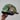 Cap Em All